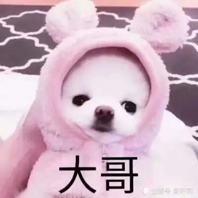 仙女专用的qq自动回复,个个都是秀儿,网友设置完毕