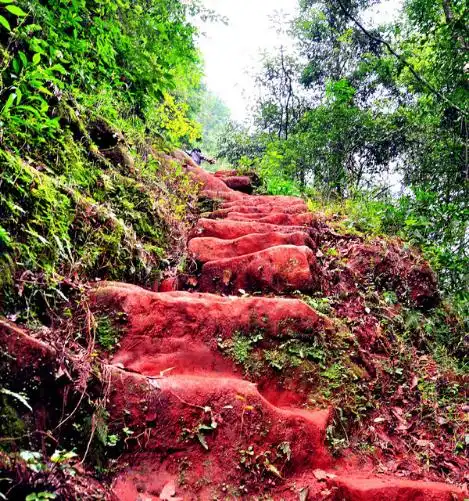 为躲避世俗他为她在深山凿出6000步天梯,如今踏破门槛成情侣朝圣地