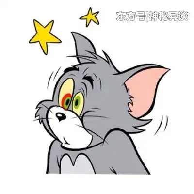 笑话上学那会有次翻墙上网去,结果刚跳下来就碰到校长