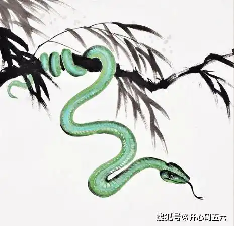 外表看起来霸道,实则领导力十足,体恤他人的4大生肖,贵人缘旺