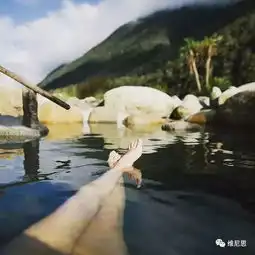 中国小夫妻隐世而居在荒无人烟的新西兰国家森林公园,没有信号的日子里,他们......