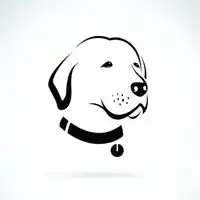 拉布拉多犬头像图片大全微信头像图片大全
