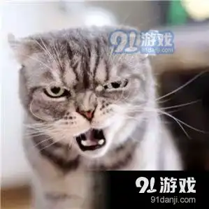 抖音三只猫咪点头gif动图v2.4下载抖音三只猫咪点头gif动图安卓版下载91手游网