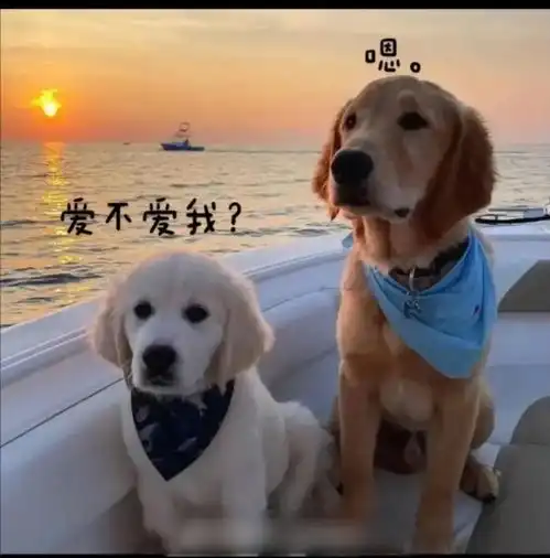 太喜欢这样的情侣头像了