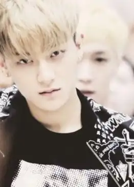 吴亦凡鹿晗吴世勋朴灿烈exo成员身家背景揭秘