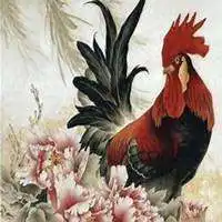 属鸡最旺财的微信头像微信头像图片大全