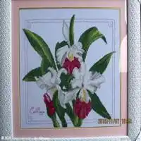 十字绣图片头像民间十字绣图案头像大图