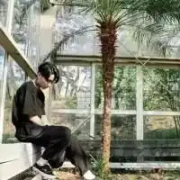 三个国魅士心恋别致游戏名字