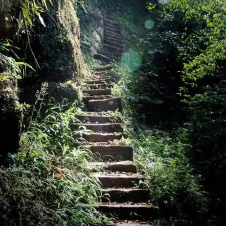 老君山情侣头像养子沟景