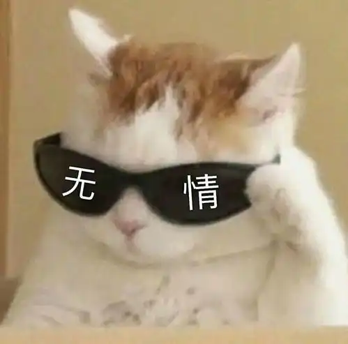 沙雕基友头像一左一右