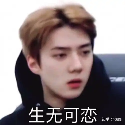 有没有吴世勋的沙雕表情