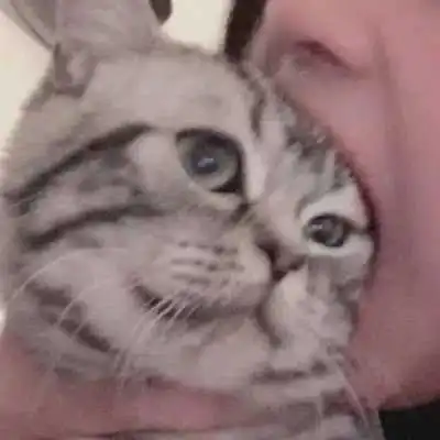 超明显超宠溺的爱人头像