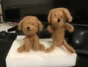 情侣pk羊毛毡diy男友巧手神还原她简单啦最后做出恶梦级成品网笑炸你的狗被撞了