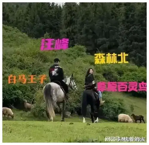 破案了,森林北选择汪峰的原因,终于找到了