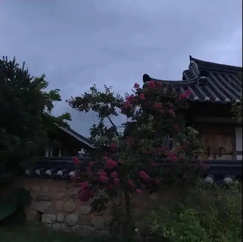 文案小说作者笔下可以封神的惊艳句子