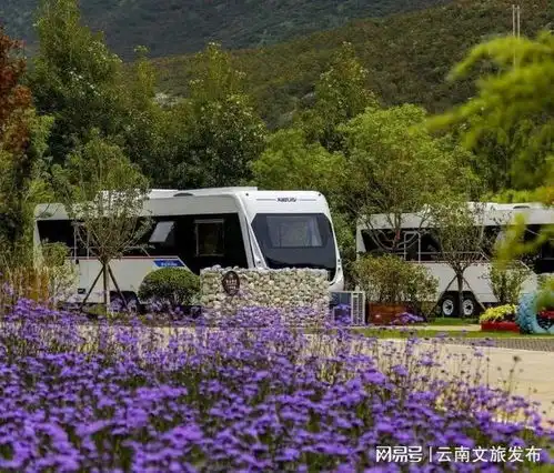 推荐春光正好,一起去丽江露营吗