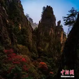 早新闻新式的迷彩服将陆续配发全军部队