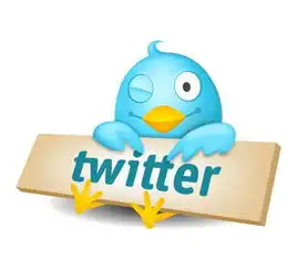 twitter在竞购方退出后探寻新出路更加倚重视频直播