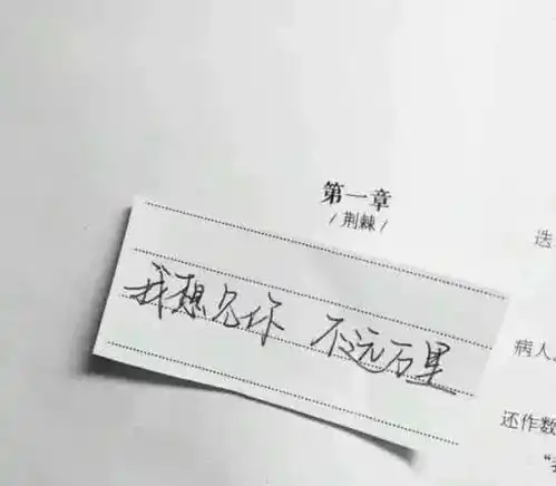 网易云热评男孩挡住镜头,笑着说别拍,她以后还要嫁人呢
