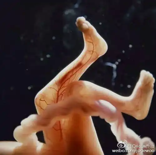 双十一过后,比钱包更空荡荡的,是医护的心...