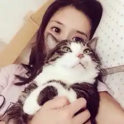 你不必冷淡,我没想纠缠