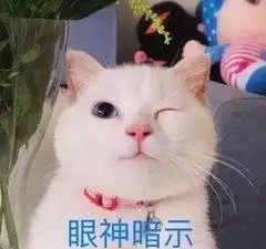 情人节,这些撩人情话送给你