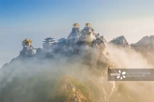 摄影图片