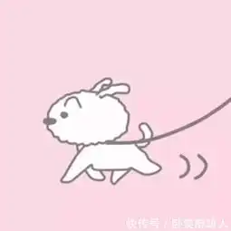 十二星座的专属动漫情侣头像,金牛奥特曼与小怪兽,处女座最可爱