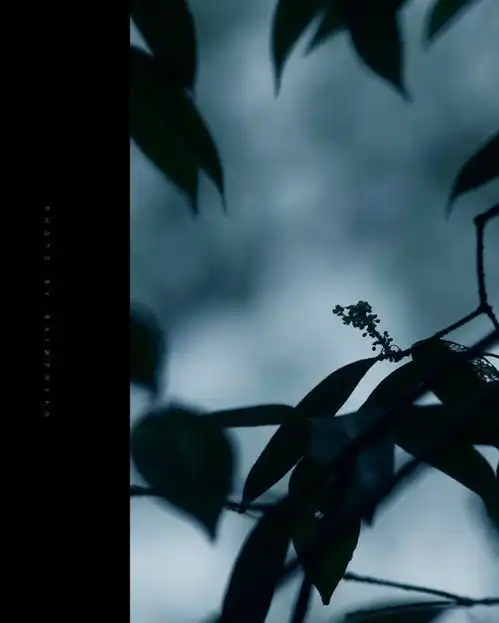 她相机下的中国,美得不食人间烟火