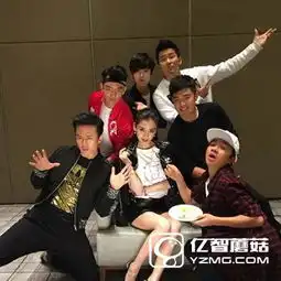 2016年跨年晚会四大卫视直播哪些直播软件还能看2016年跨年晚会