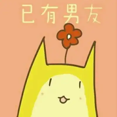 toro猫头像图片大全