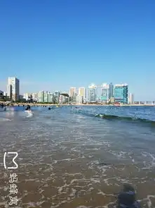 一个人享受韩国釜山之旅坐在海边看着日落