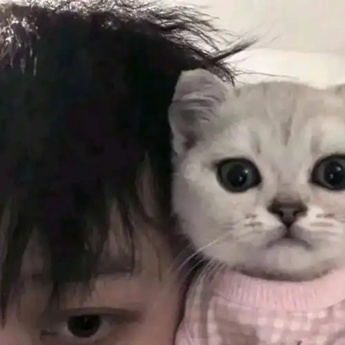 捂着男生脸的情侣头像超