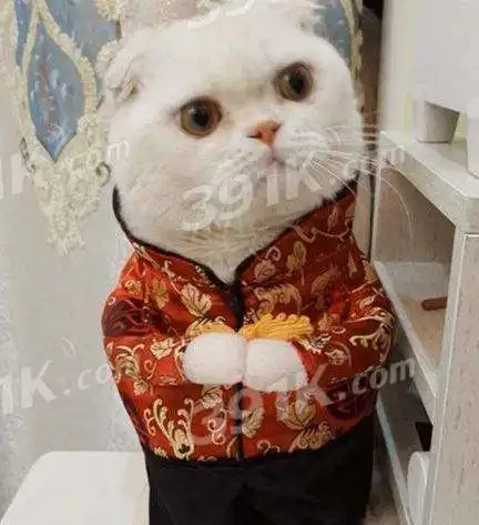 抖音会说话的刘二豆是怎么配音的刘二豆是什么猫
