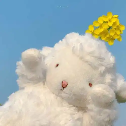 有什么让人一看就觉得这个人好有意思啊的文案