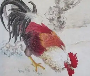 这三个生肖的女人,表面看起来很软弱,实则内心特别强大